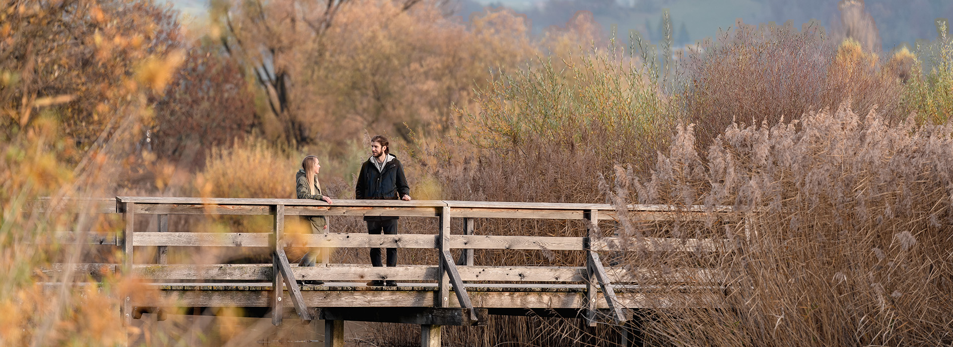 Förderprogramme von Bund und Kanton