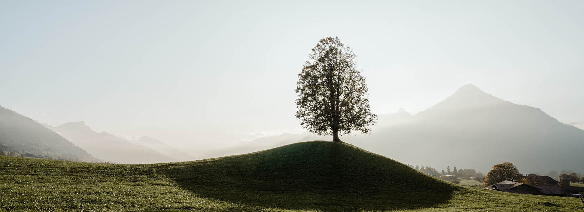 Aus Liebi zur Umwelt