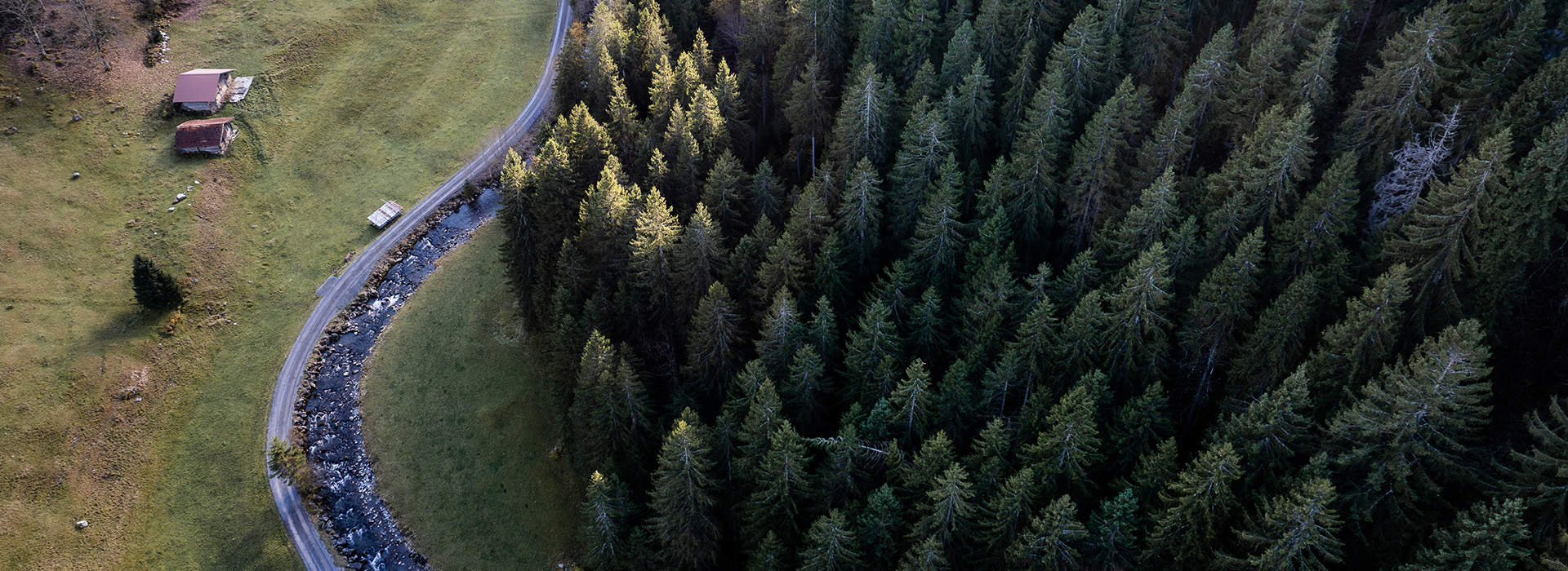 Biomasseschulung f&uuml;r Installateure und Planer