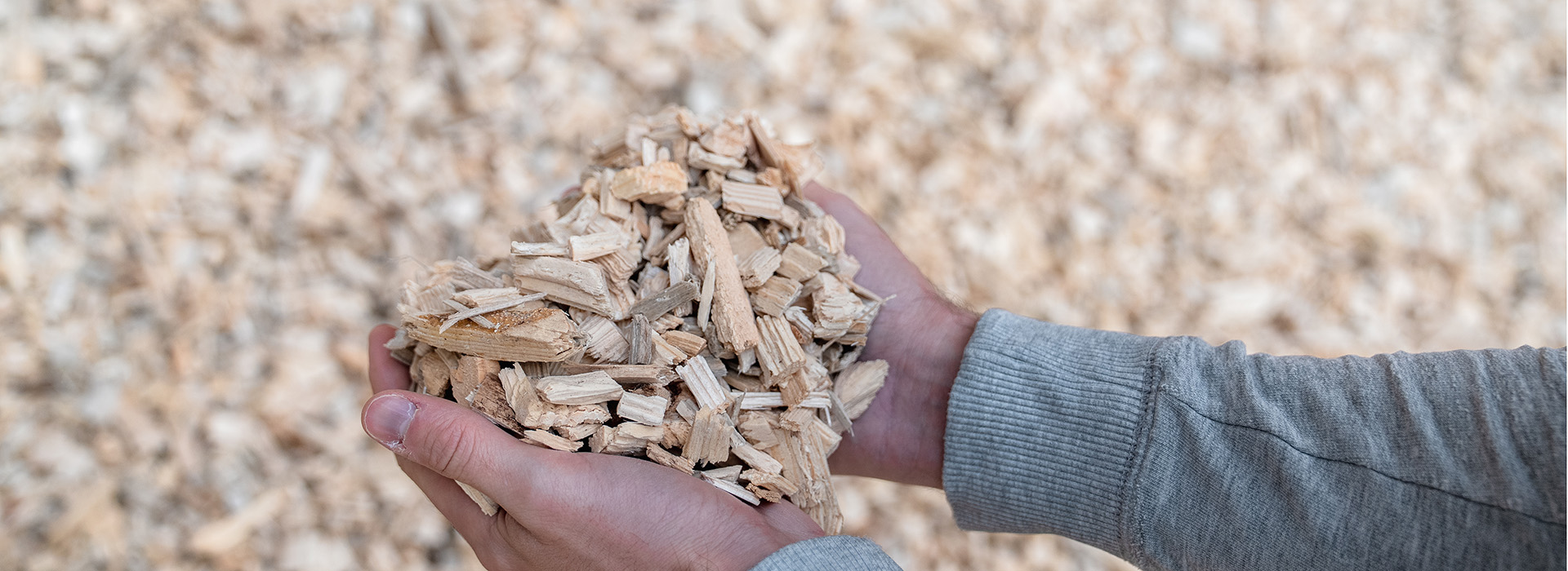 Hackgutkessel ETA eHACK