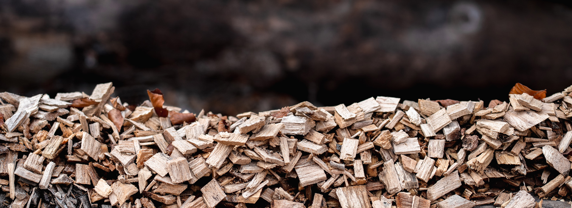 Hackgut aus heimischer Forstwirtschaft