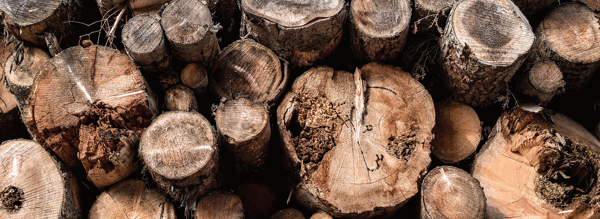 St&uuml;ckholzkessel ETA eTwin