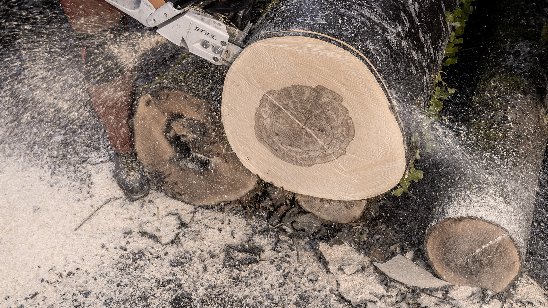 St&uuml;ckholzkessel ETA eTwin