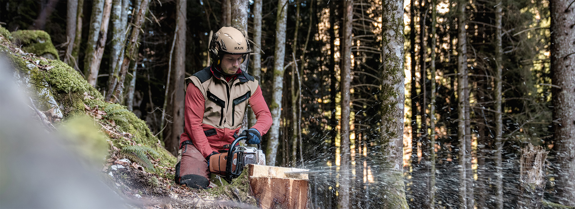 Stückholz Heizkessel