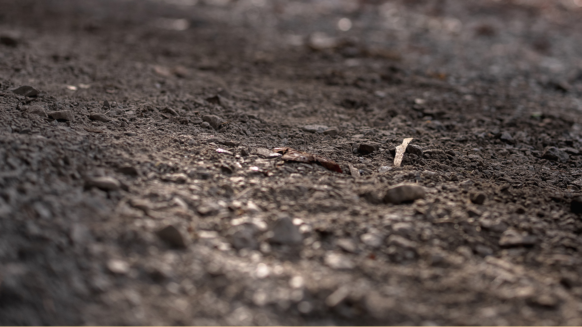 W&auml;rmepumpen Sole/Wasser