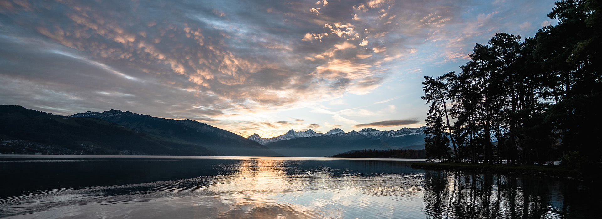 Wärmepumpen - ein komfortables Heizsystem