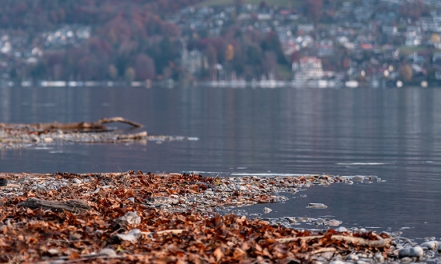 Die einfach zu bedienenden Wasser/Wasser-W&auml;rmepumpen bestechen durch die kompakte Modulbauweise, der gr&ouml;sstm&ouml;glichen Flexibilit&auml;t und dem herausnehmbaren Verdichtermodul.