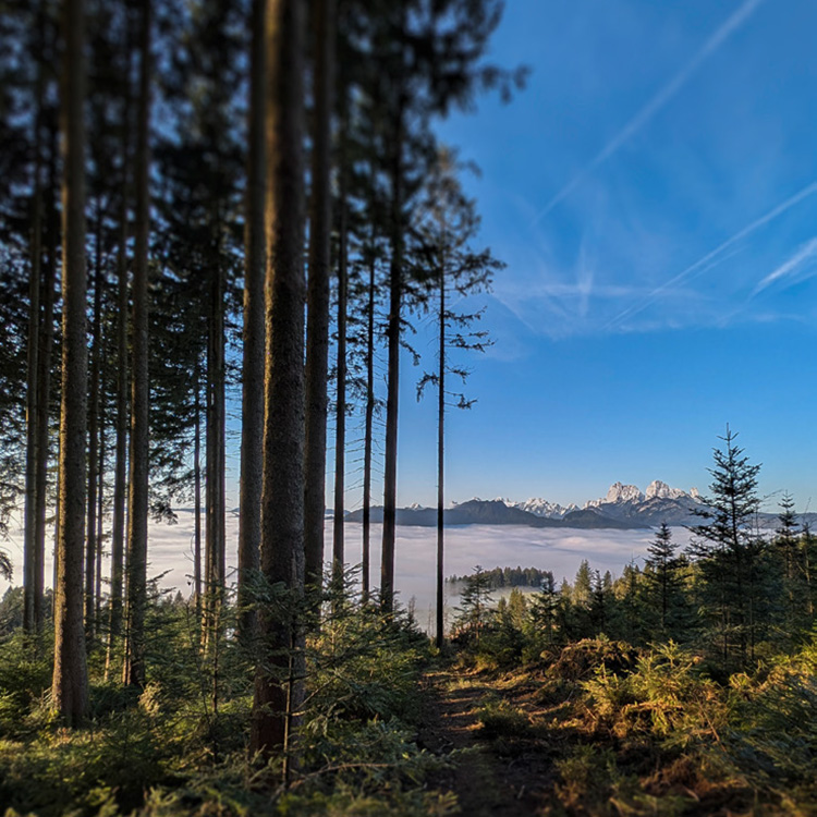 Ausgabe 8/24 - Alles nachhaltig?